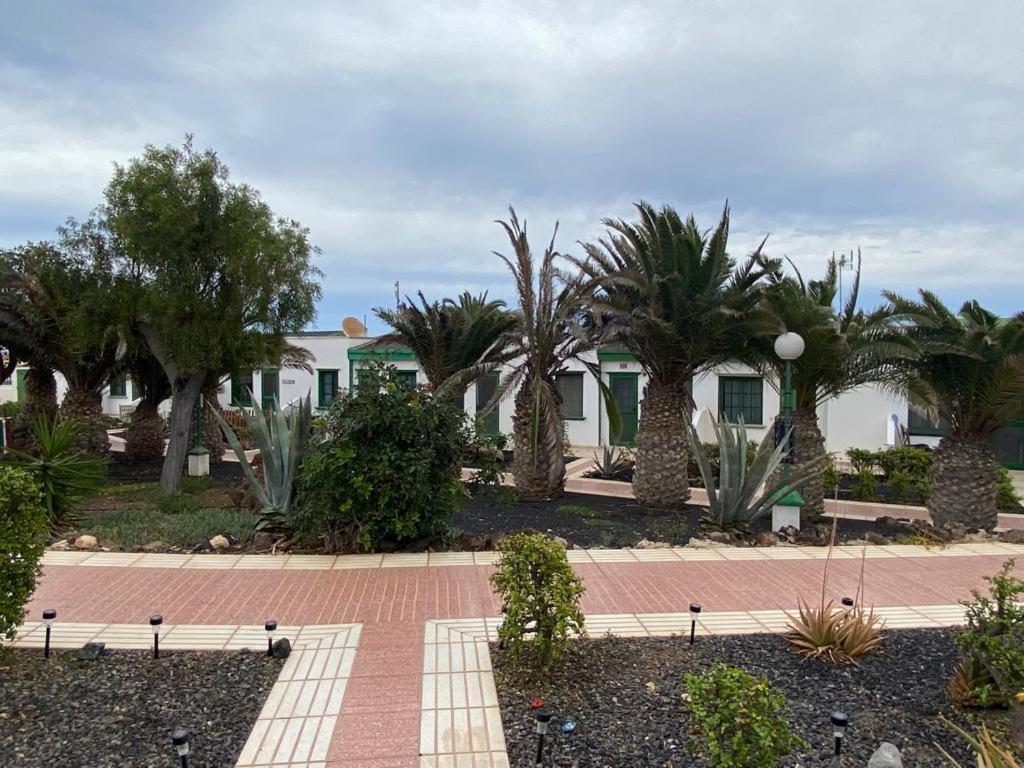Casa Sandra Cocosol Costa De Antigua Bagian luar foto